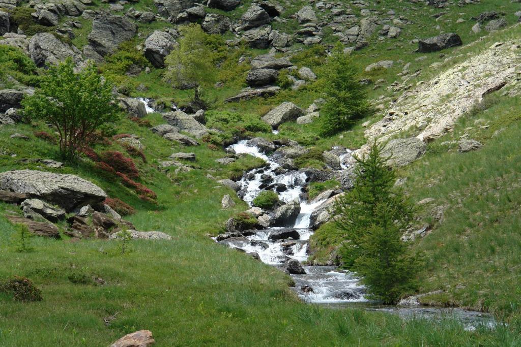 Le Relais Des Vaudois Hotell Freissinieres Exteriör bild